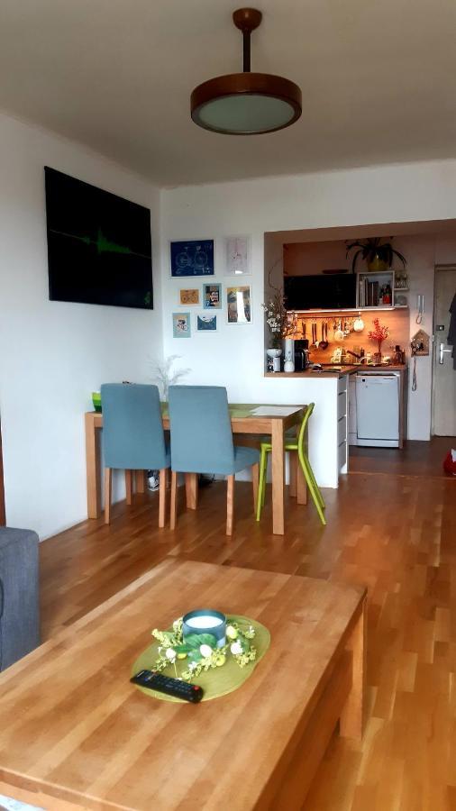 Apartment Sunny Family In Zizkov Prag