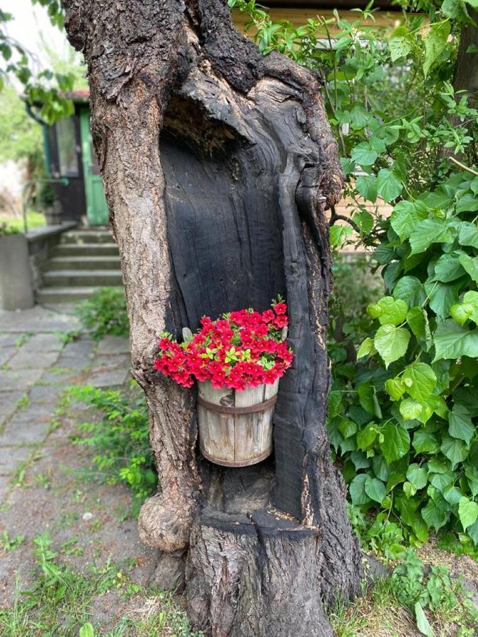 Lejlighed Old Summer House *