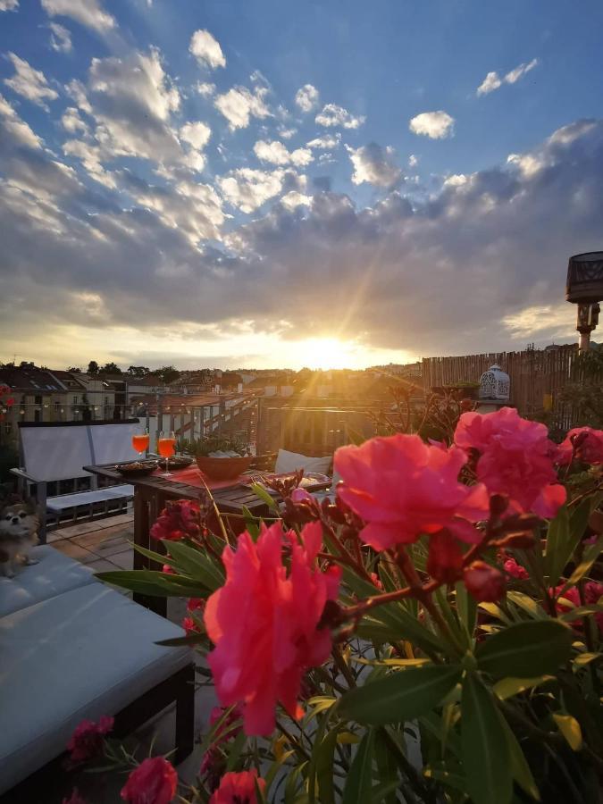 Lux Duplex Rooftop Loft With An Amazing Terrace & Cinema Apartment