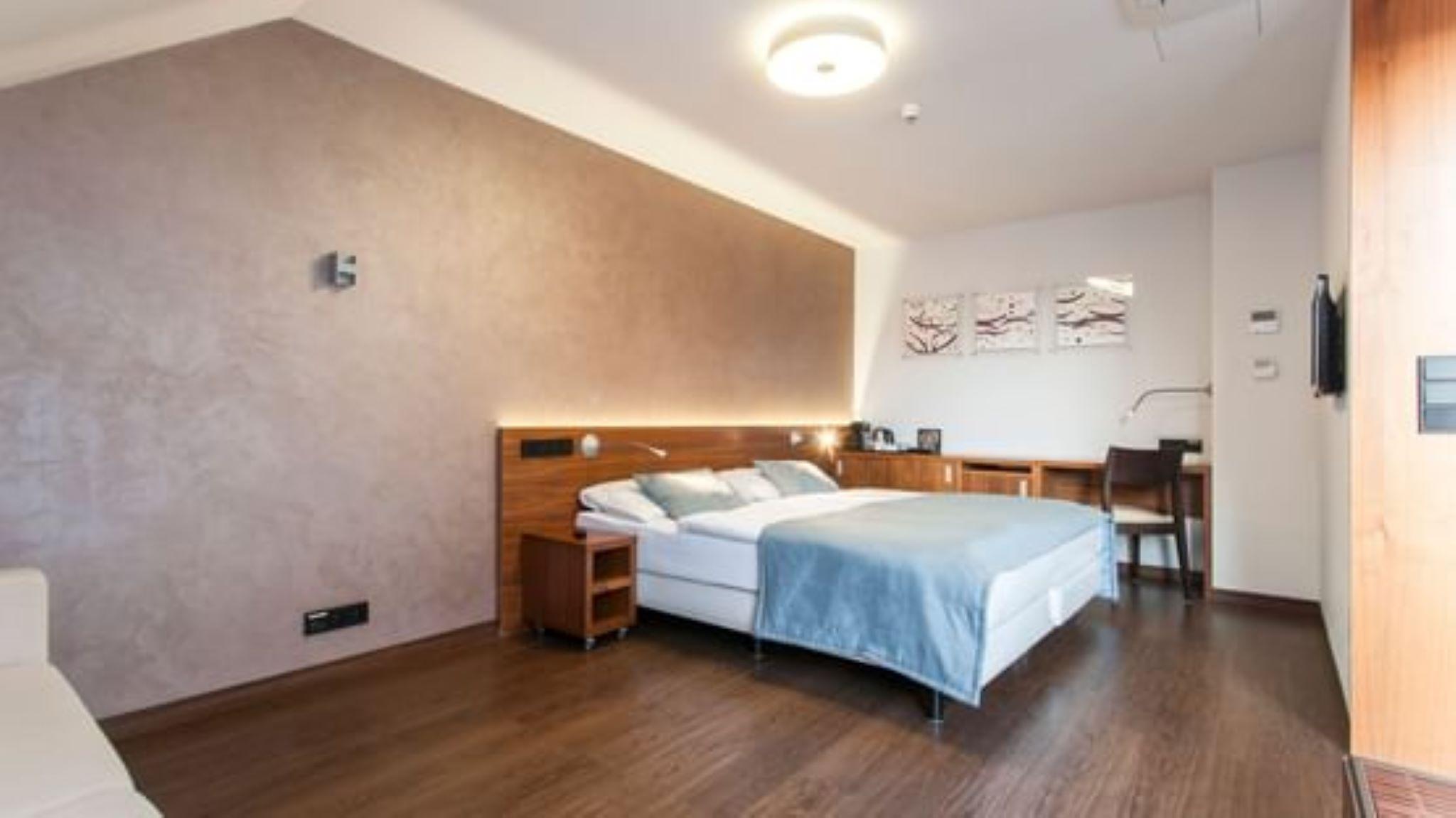 Hotel Carol 4*