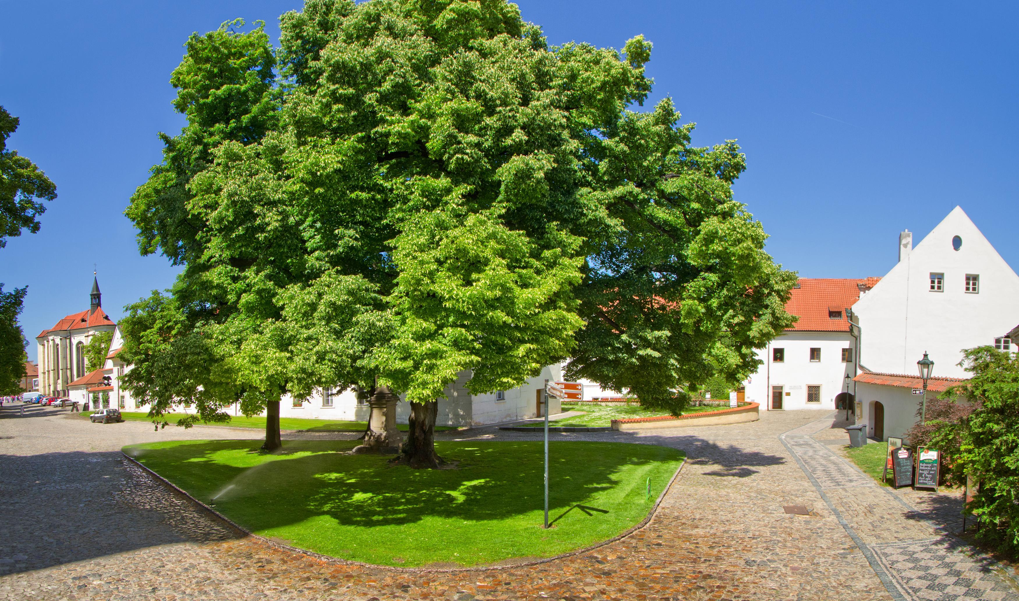 Monastery