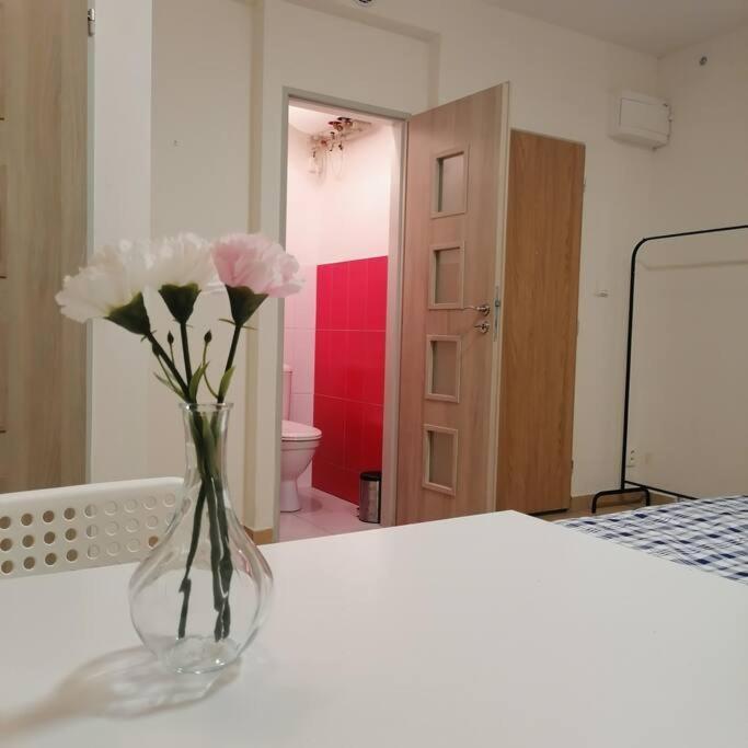 Basement Flat In The City Center!!