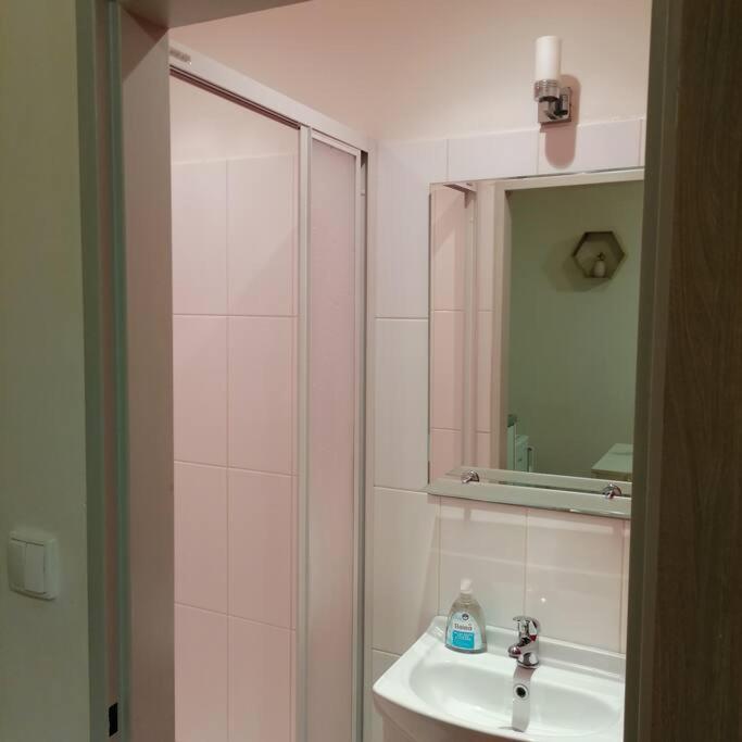 Basement Flat In The City Center!! Apartment Prag