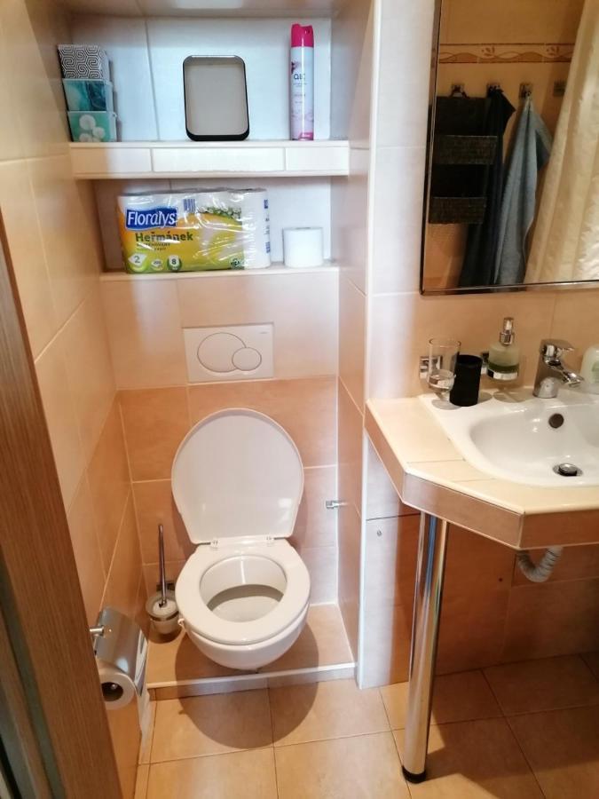 Apartment Soukromy Byt 2+kk Vysocany,10 Min Od Centra Prahy. Prague