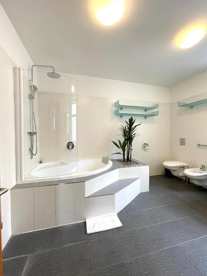Apartment Hradebni - Terrace In The Old Town *