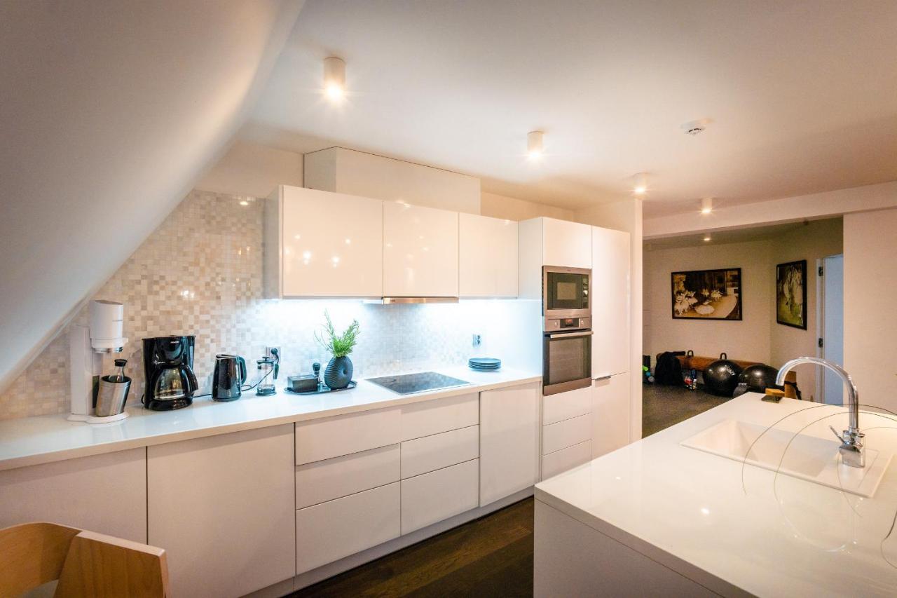 Lux Penthouse Near Wenceslas Square