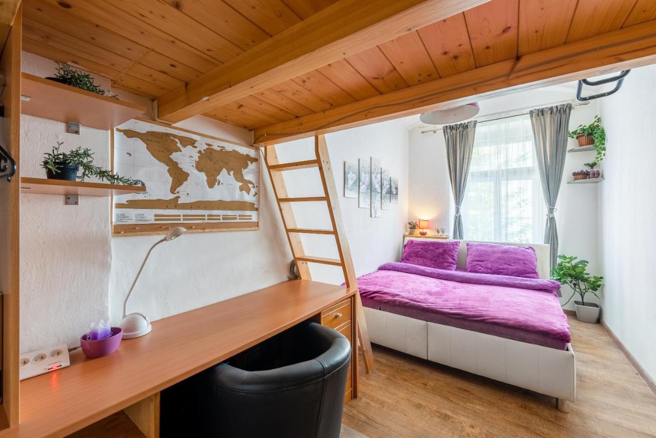 Zizkov Apartment *