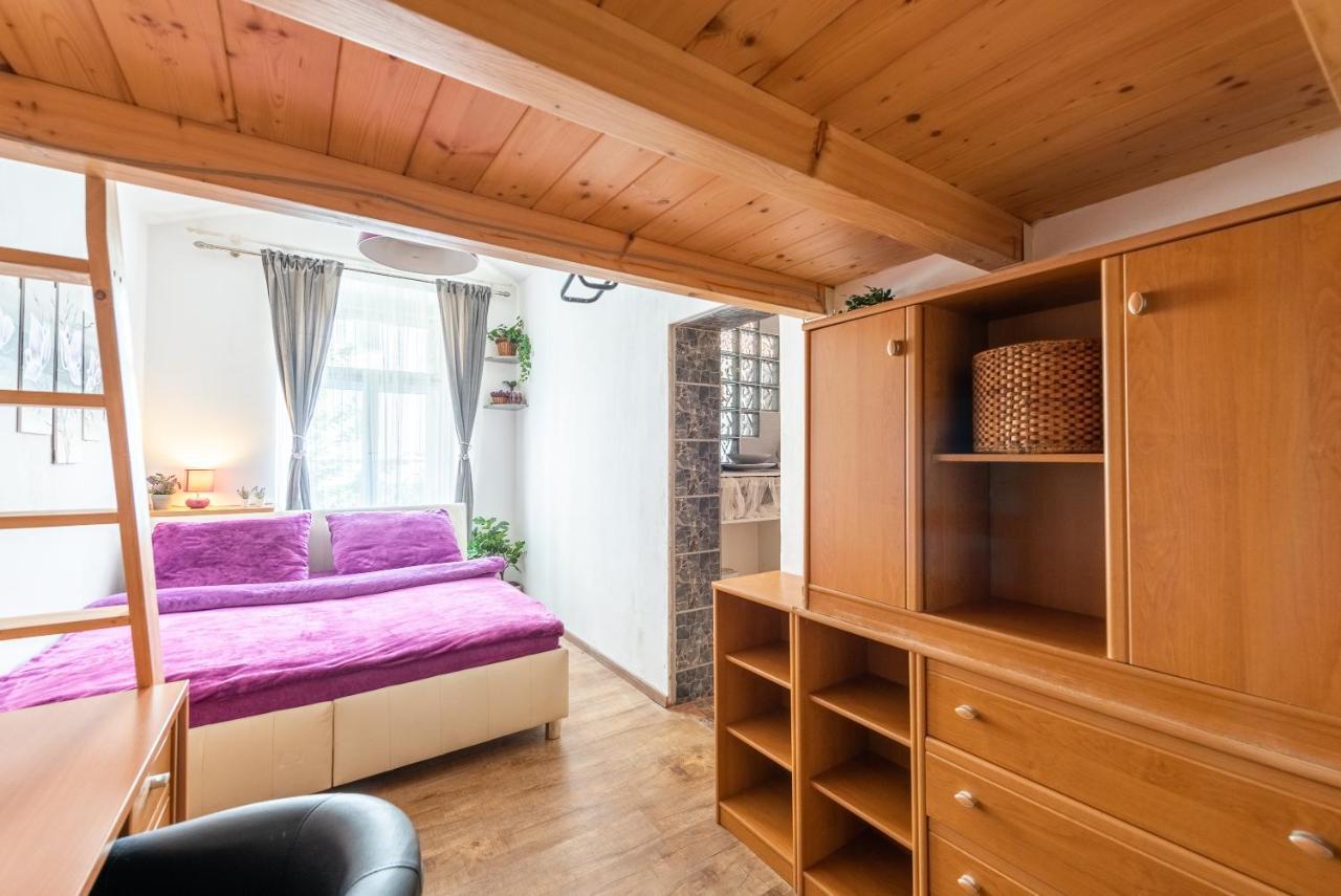 Apartment Zizkov *
