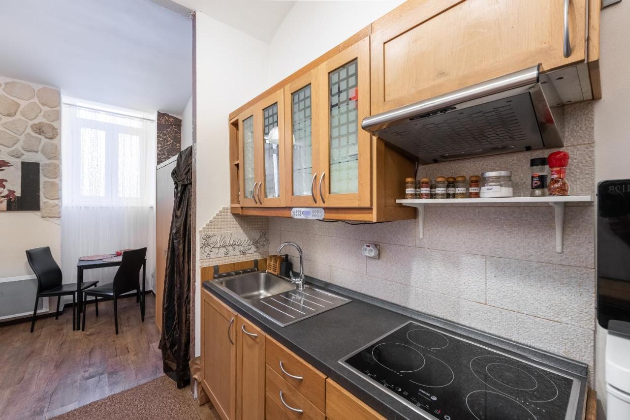 Apartment Zizkov