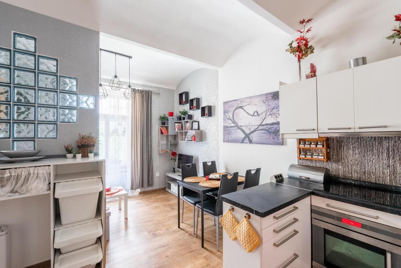 Apartment Zizkov Prague
