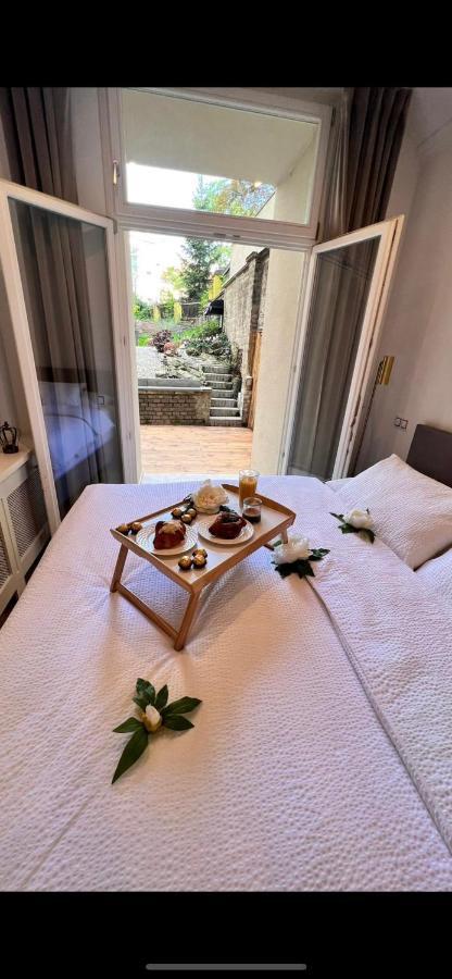 Amazing Flat With Garden, Vinohrady Near Center *