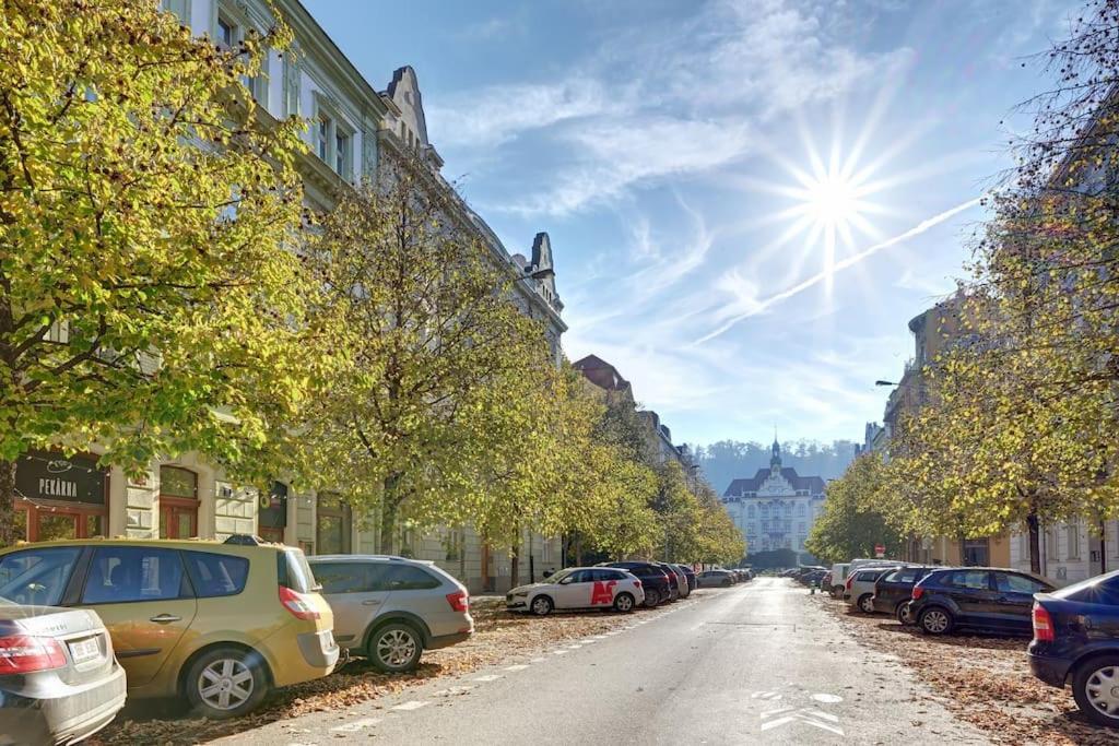 Velky 3-loznicovy Byt 8 Karlin Apartment