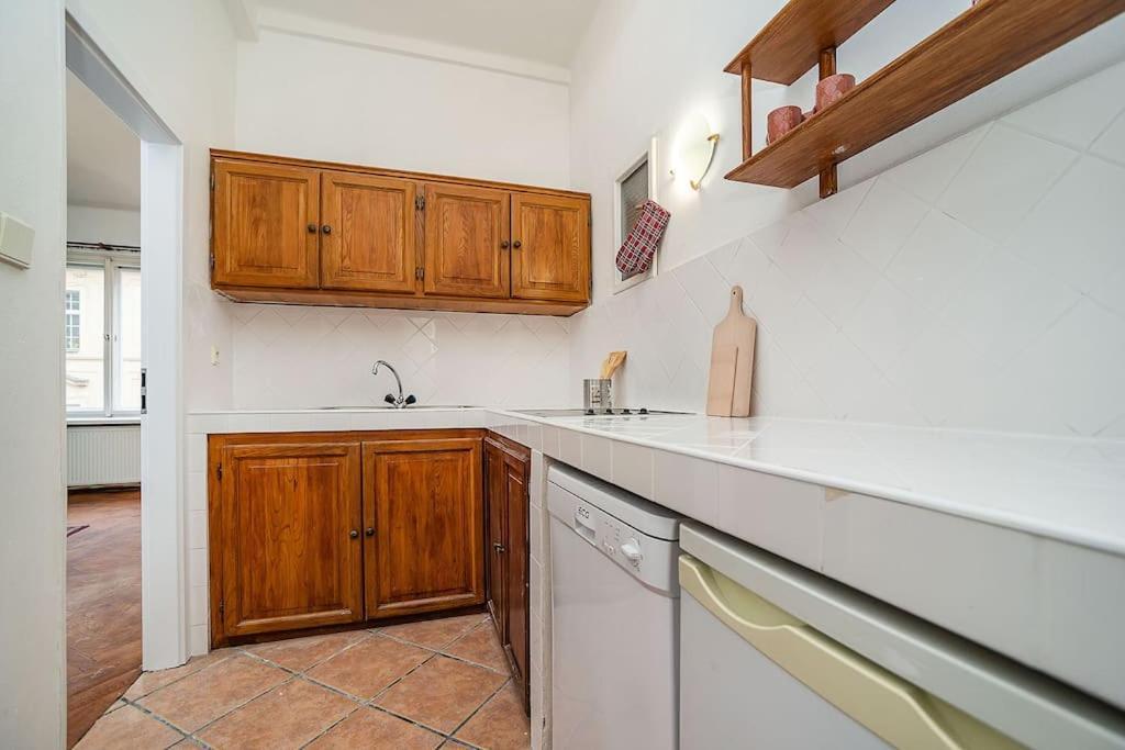 Classic Old Town Apartment Prag