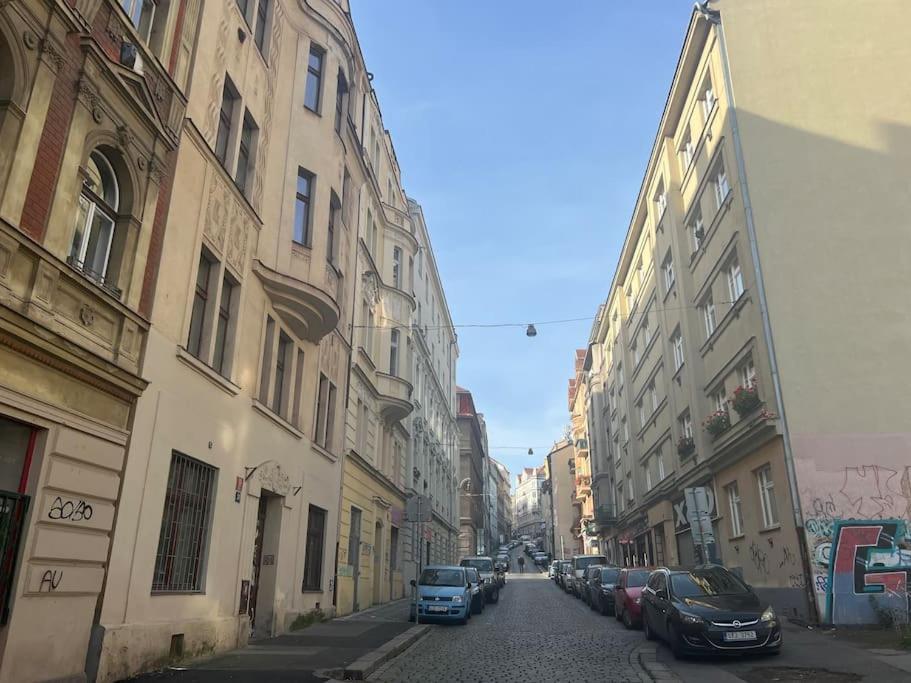 Modern Krymska & Francouzska Street Apartment Prag