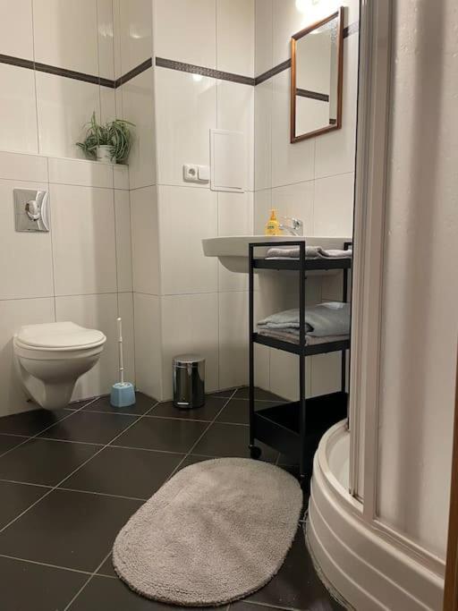 Modern Krymska & Francouzska Street Apartment Prag