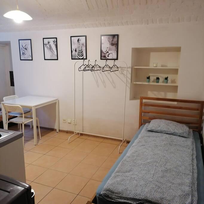 Basement In The City Center!! Apartment