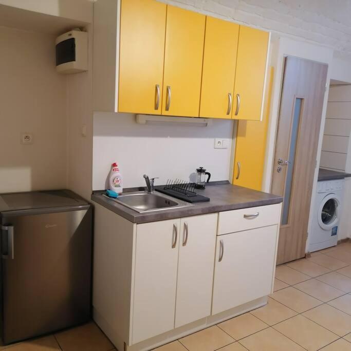 Apartment Basement In The City Center!! *