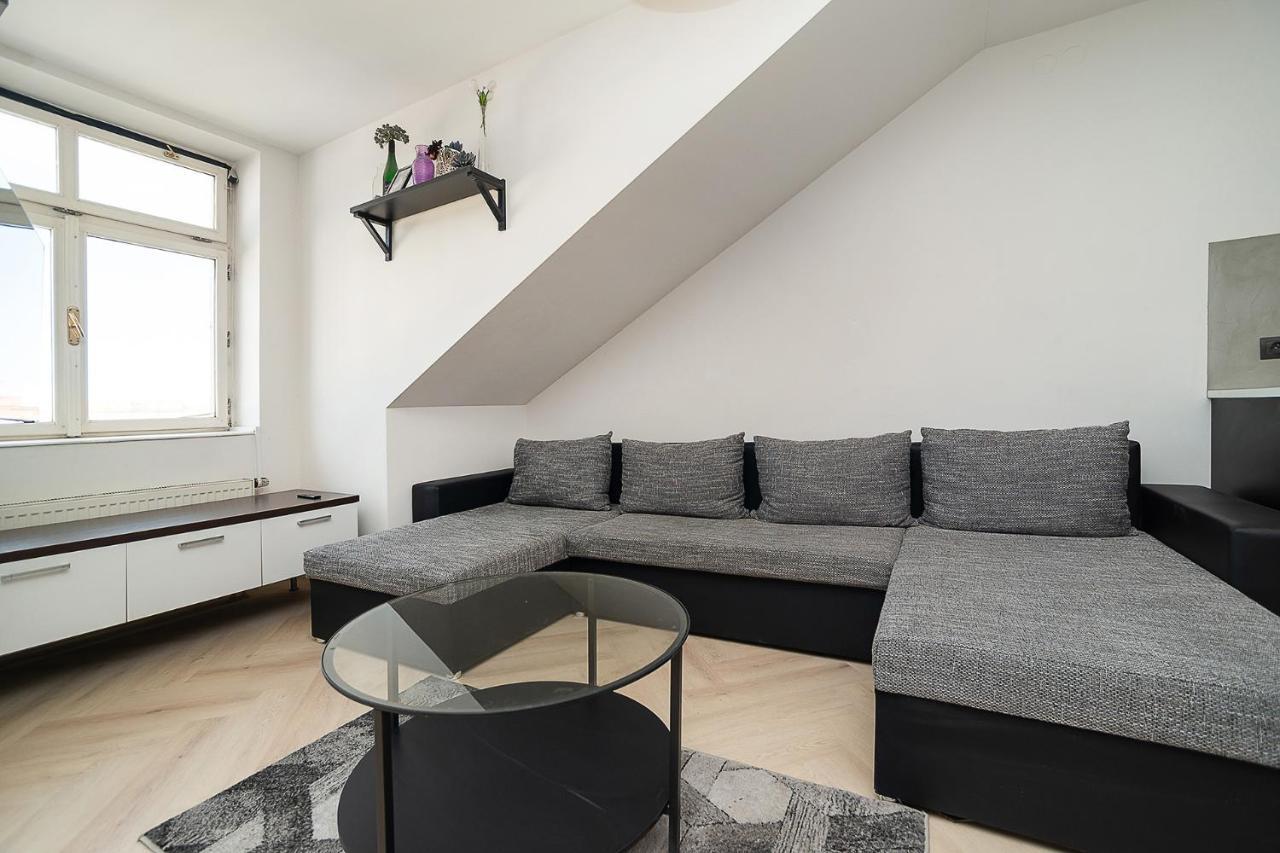 Big 4-bedroom Flat, Terrace With Great Vitkov View Lägenhet