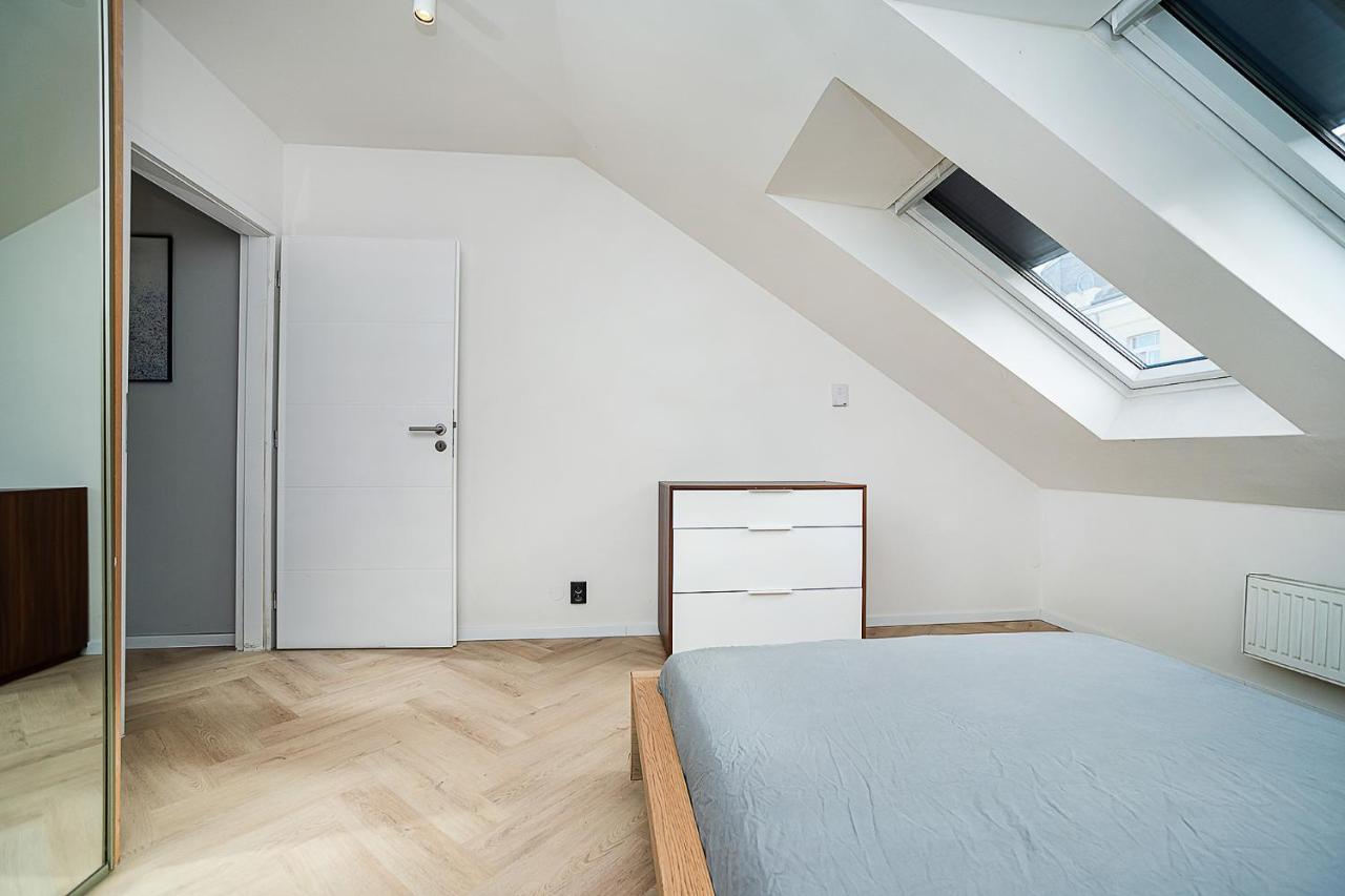 Big 4-bedroom Flat, Terrace With Great Vitkov View * Prag