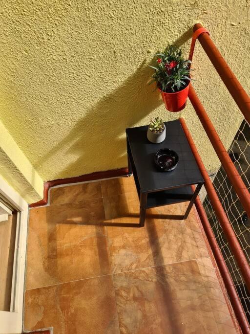 Colourful Modern Flat / Balcony / Charles Bridge Apartment Prague
