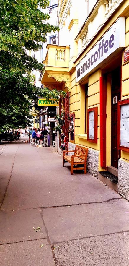 Cozy In Vinohrady Prag