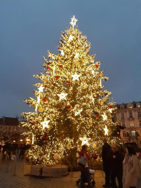 Exclusive Lägenhet Prag