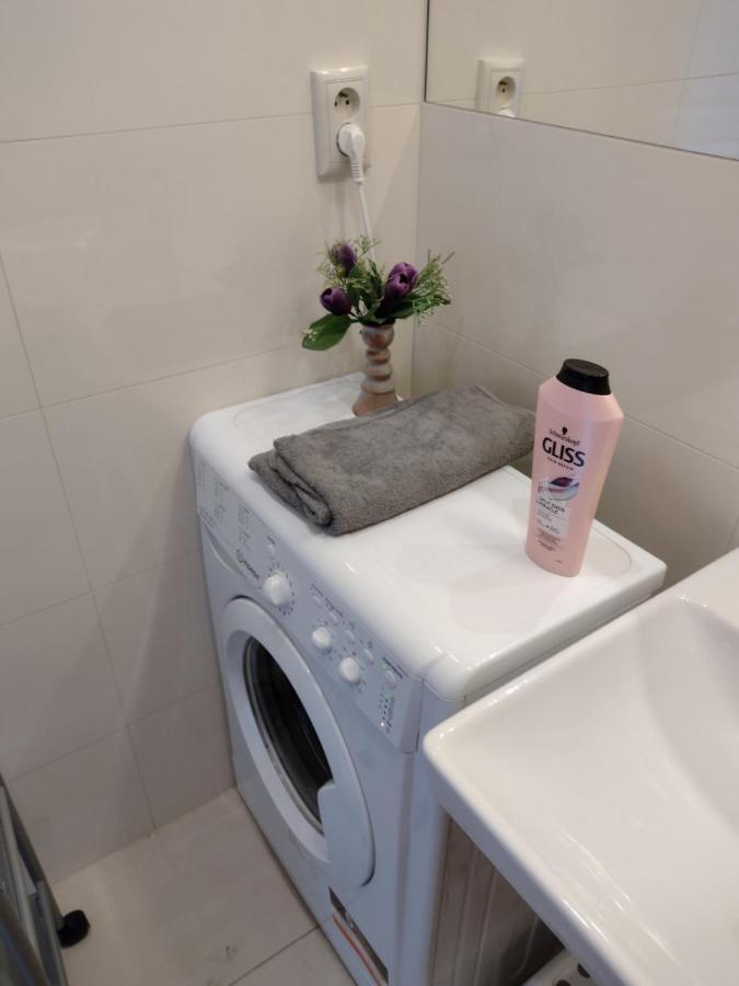 Small Studio City Center Lejlighed Prag