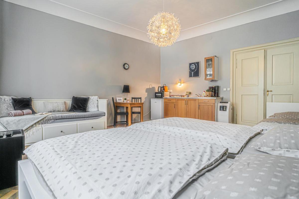 Bright Studio Close To Charles Bridge And Castle