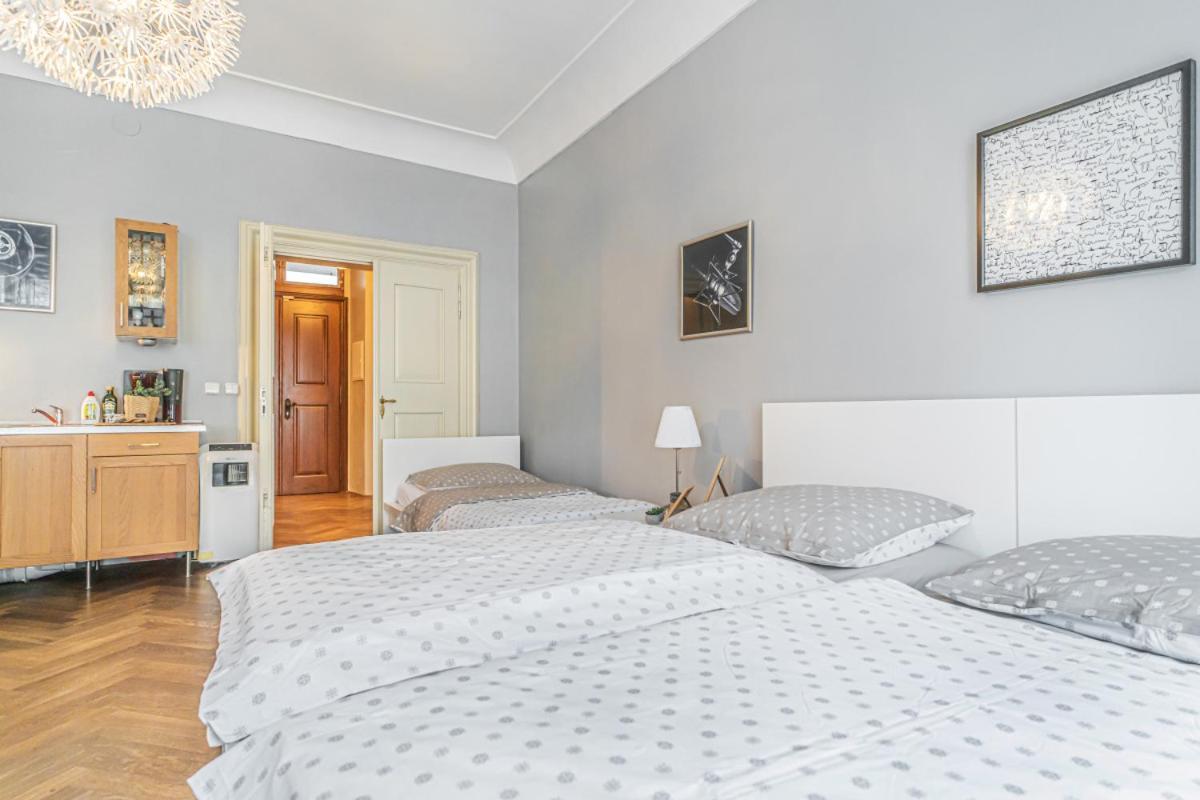 Bright Studio Close To Charles Bridge And Castle Apartment