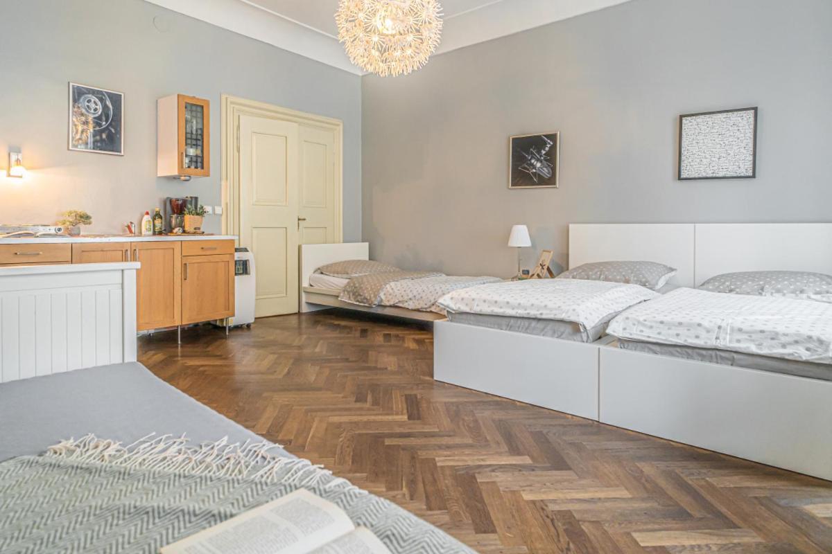Bright Studio Close To Charles Bridge And Castle *