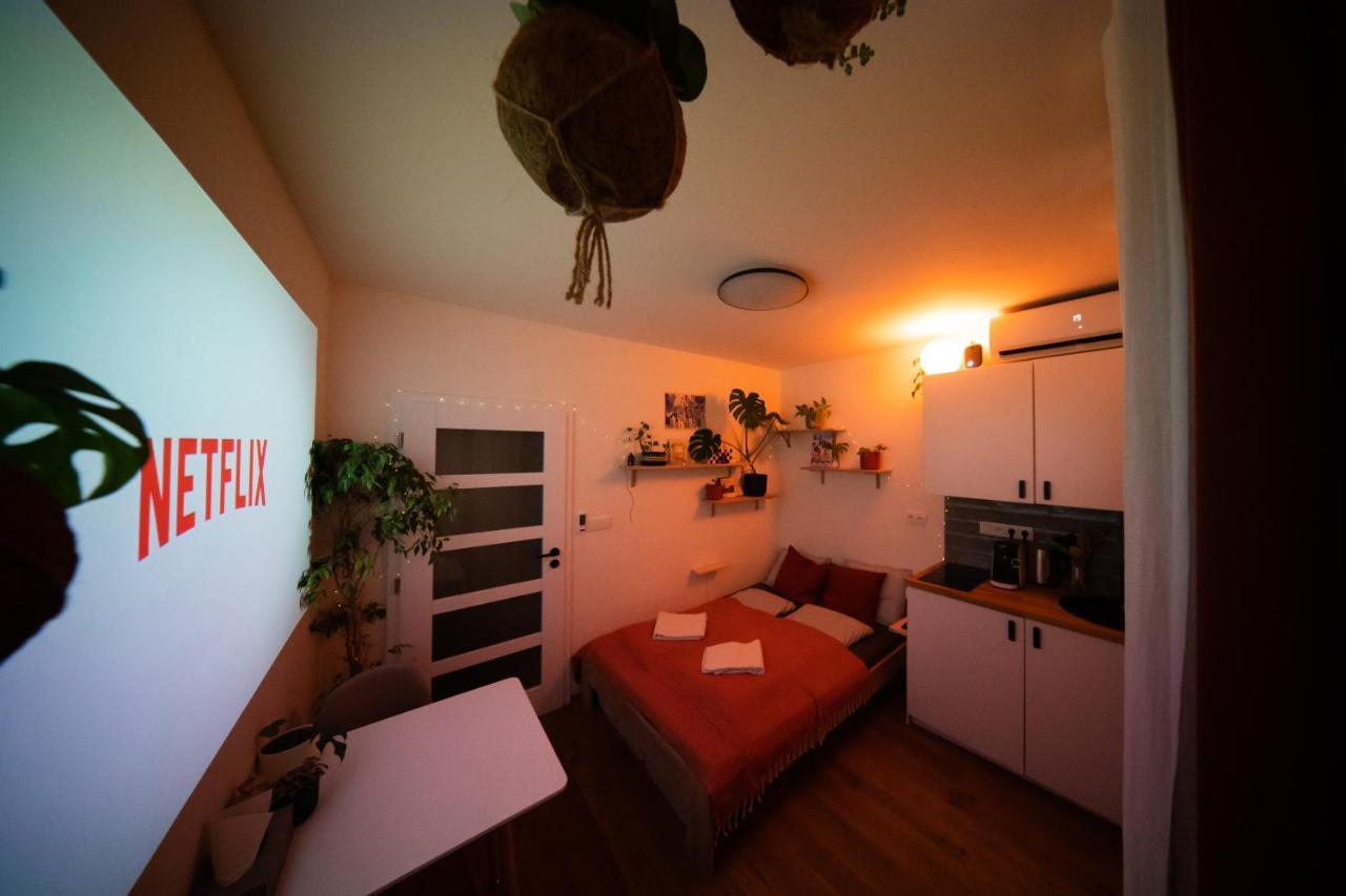 Maly Utulny Byt S Balkonem A Projektorem Apartment Prag