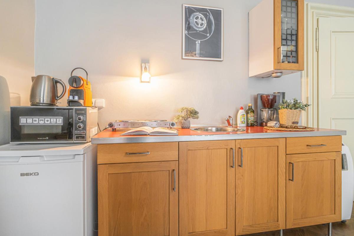 Apartment Bright Studio Close To Charles Bridge And Castle