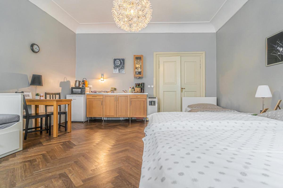 Apartment Bright Studio Close To Charles Bridge And Castle