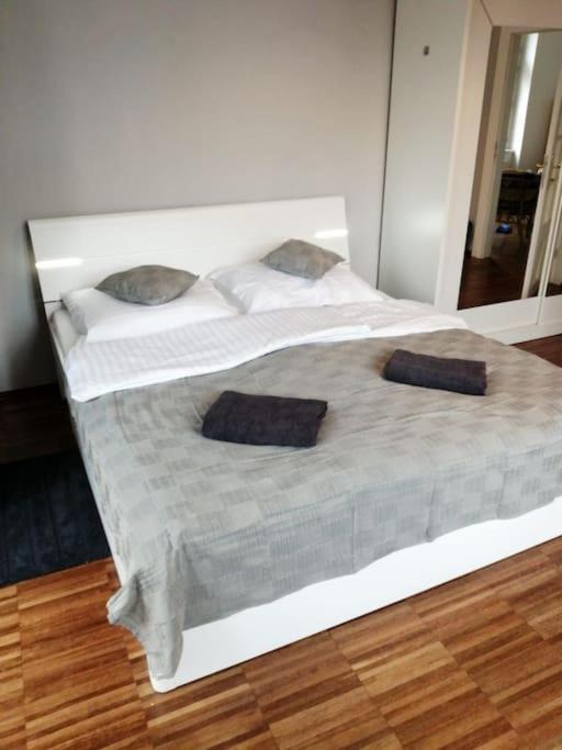 2 Bedrooms Close Vysehrad - Congress Centrum Prague