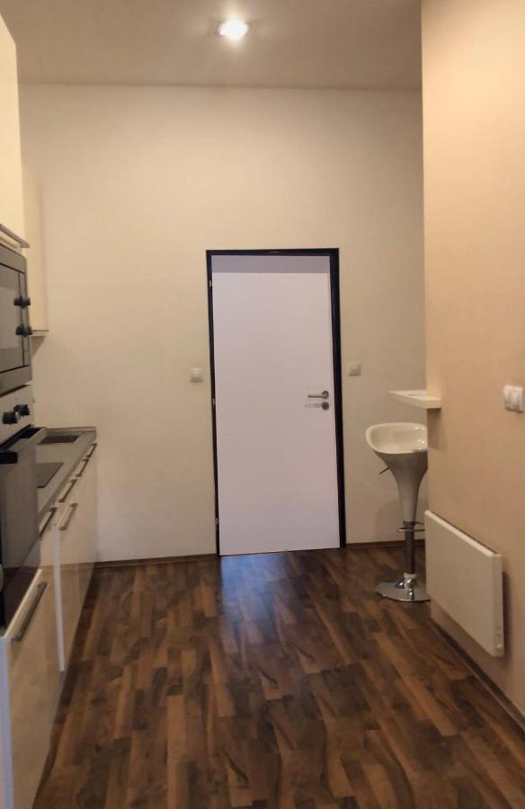 Comfortable Great Location Close To Center Apartment Prague