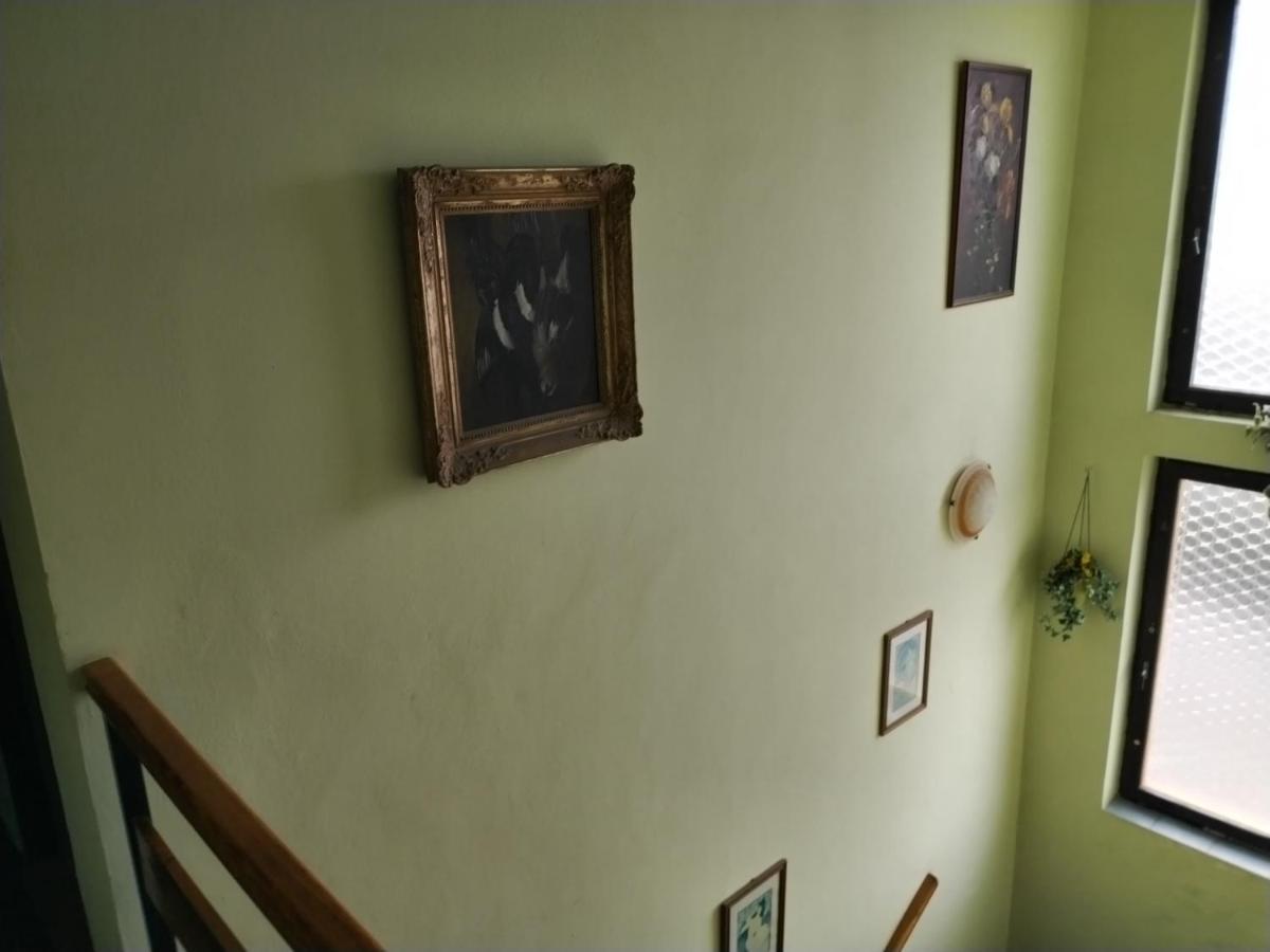 Guest house Sparta 3*