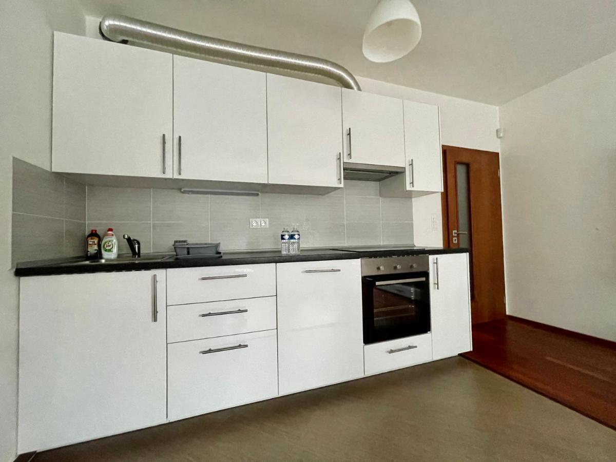 Centrum Park Apartment+ Prag