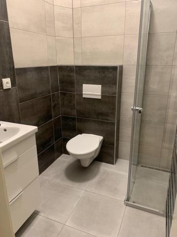 Apartment Apartman Bubenec Prague