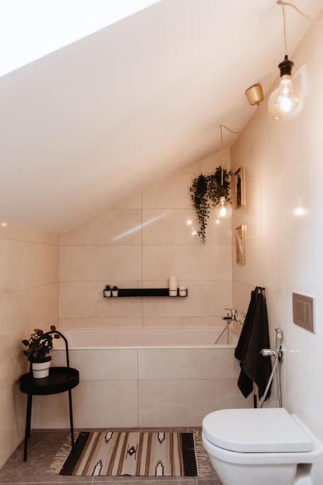 Loft With Balcony In Centre Apartment Prag