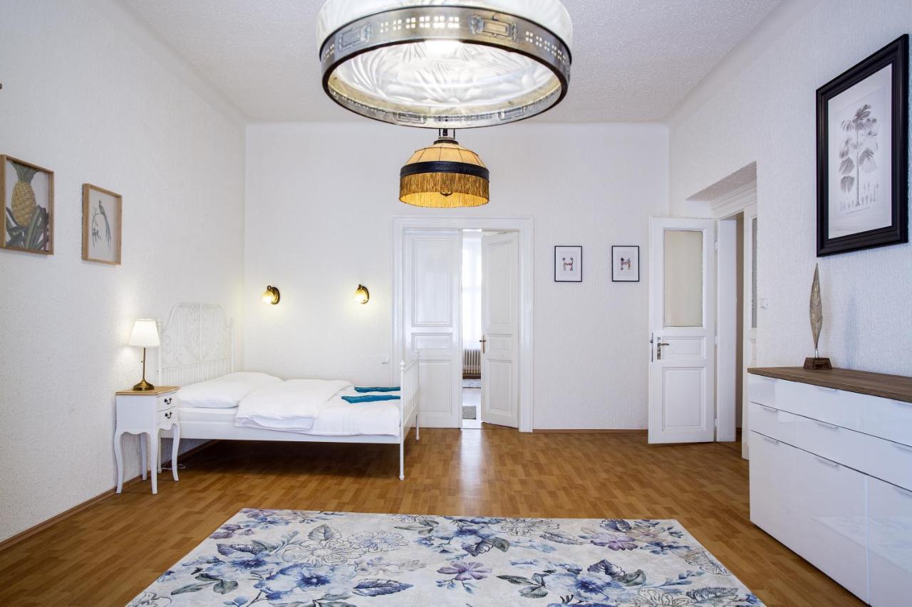 Large 3 Bdr In The Heart Of Prag