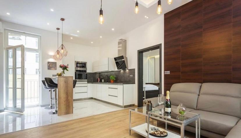 Apartmán Wenceslas Square Luxury Praha