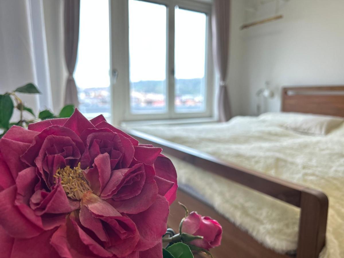 Cool Studio Apartment Prague