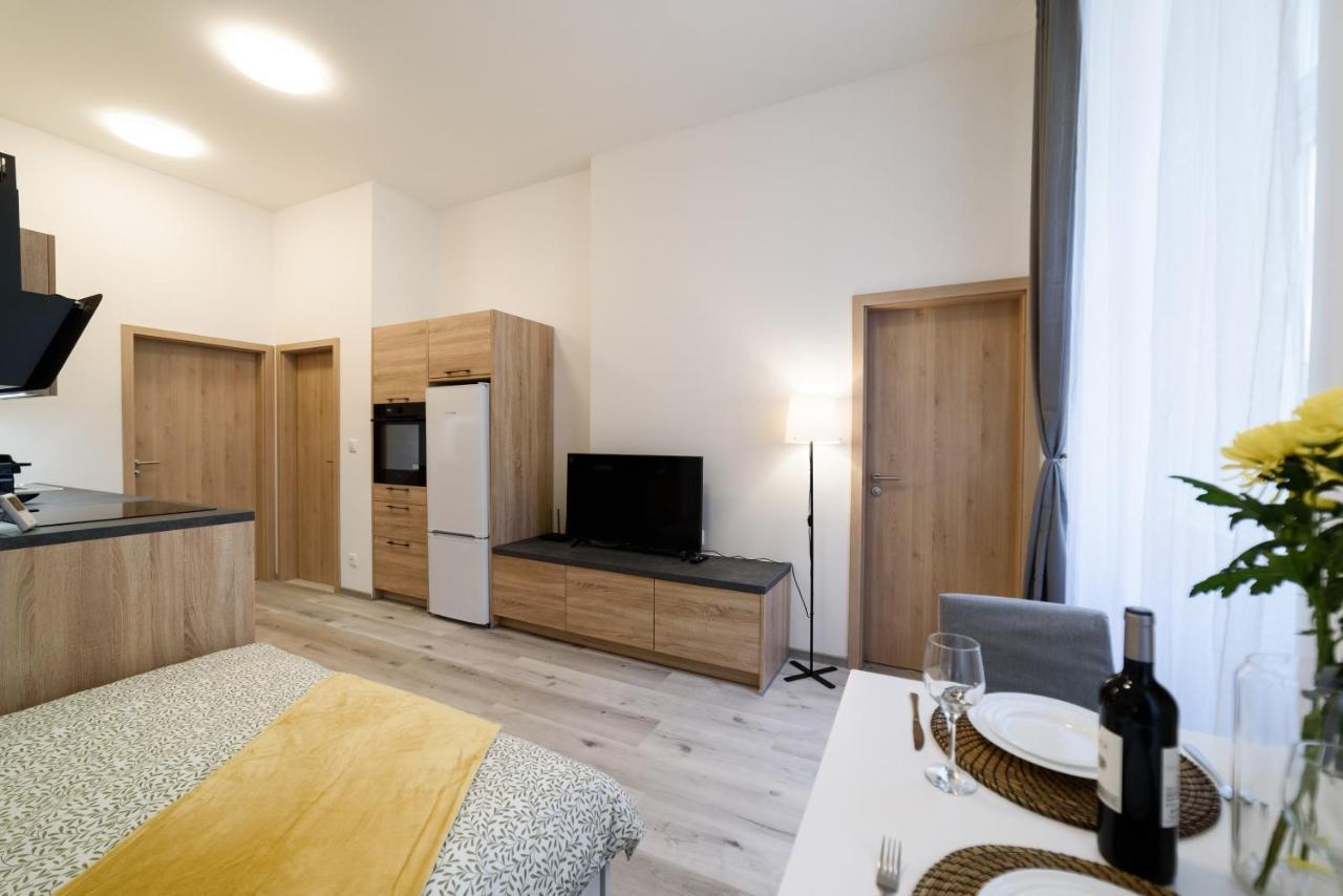 New Near Dancing House Apartment Prague