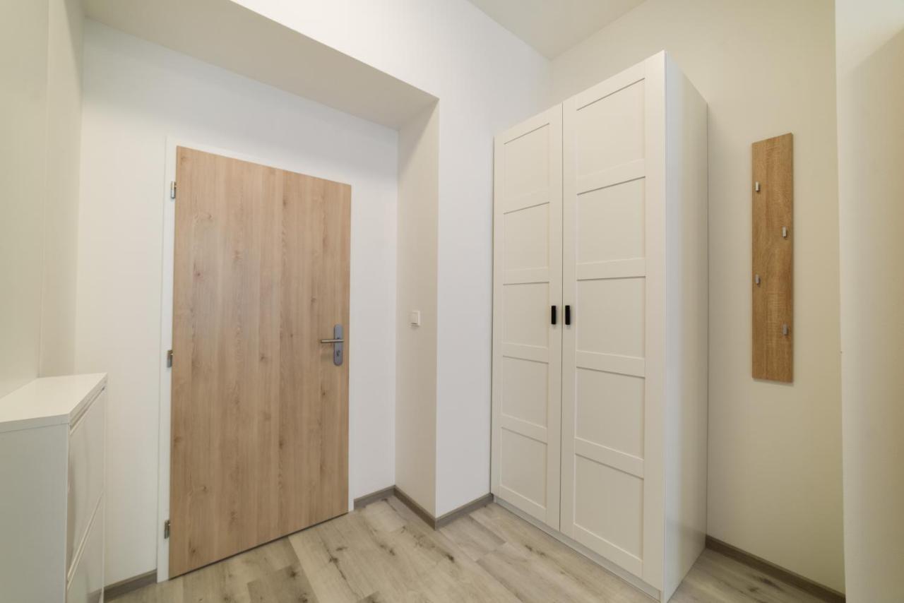 New Near Dancing House Apartment Prague