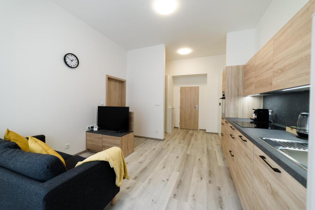 New Near Dancing House Apartment