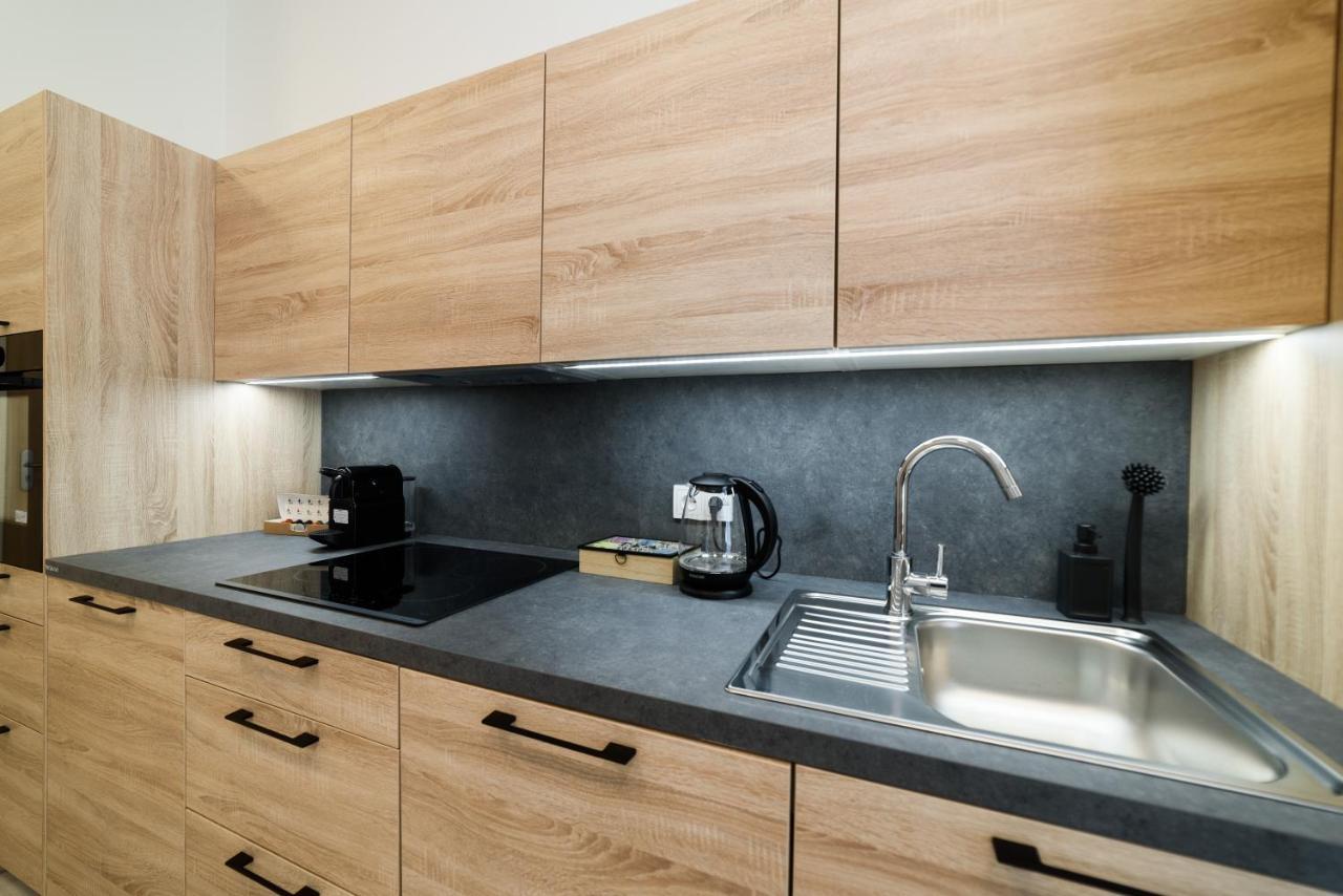 New Near Dancing House Apartment Prague
