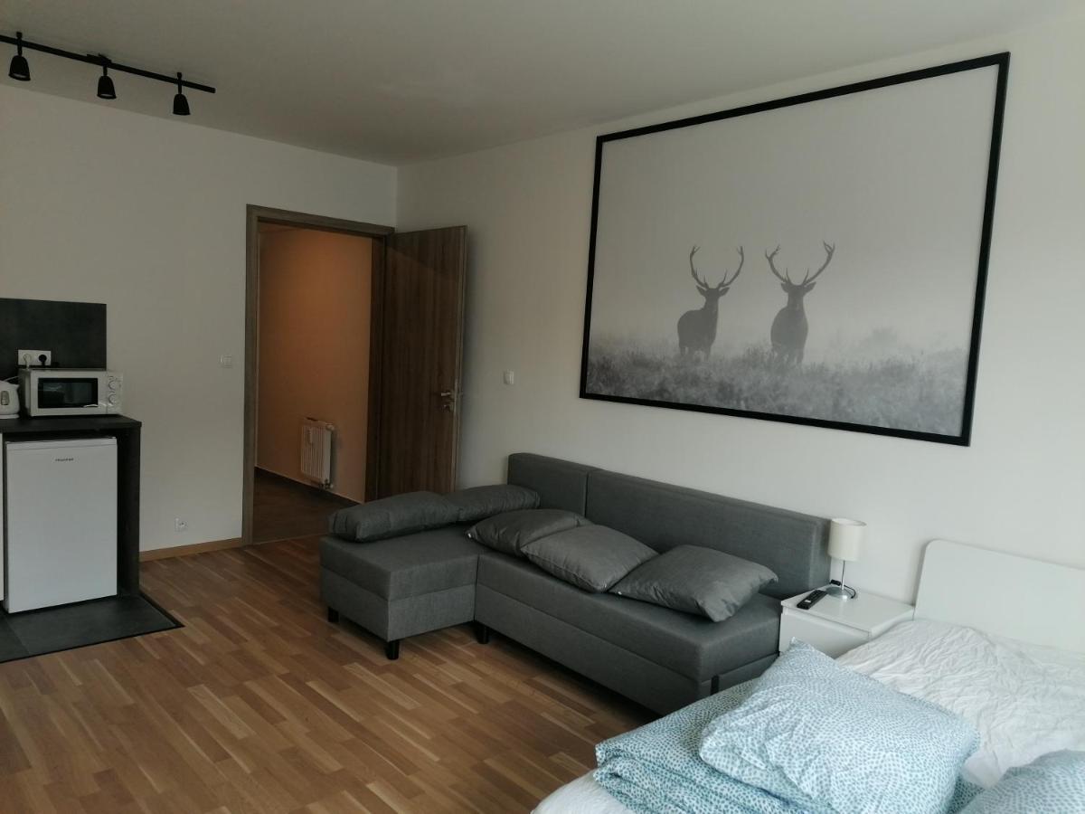 Brand New #51 With Free Secure Parking In The Center Apartment