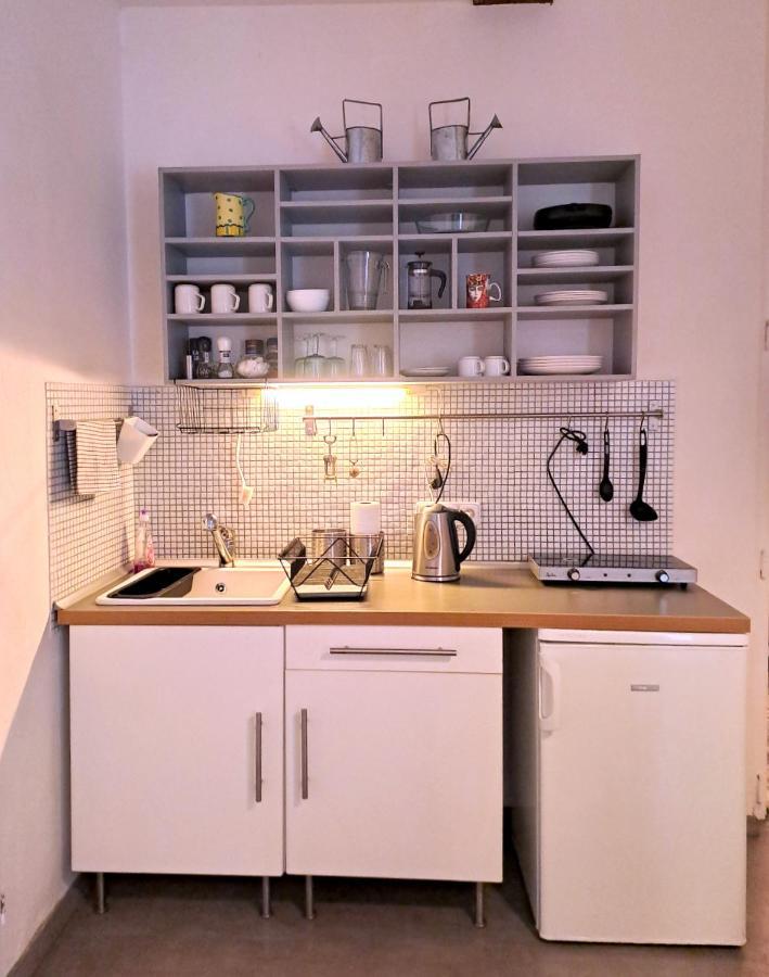 Magnificent In The Center Of Apartment Prague