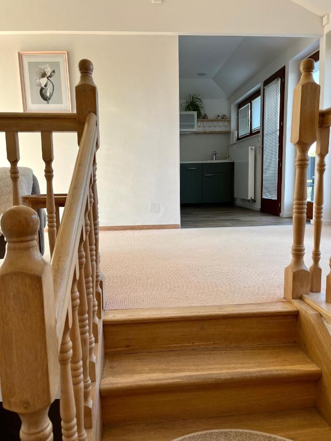 Apartment Sarka *