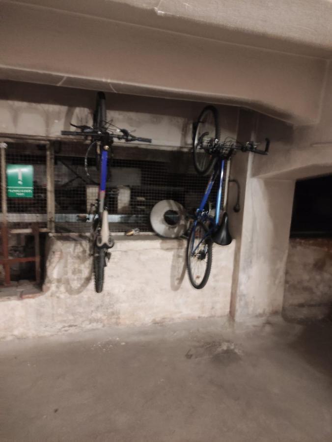 Wine And Beer Club House Cellar With Ping Pong, Karaoke, Board Games, Lan Party, Bike Lending Cool Service *